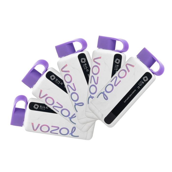 elfbar elfa master akku Vozol STAR 9000 | Vozol Disposable Vape