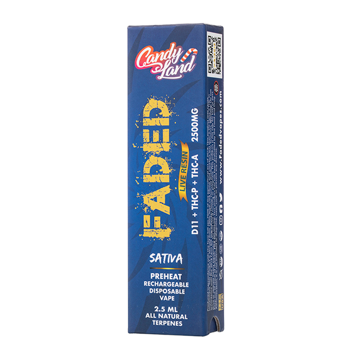 delta 11 disposable vape Ceramic Core Empty Disposable Vapes Niche - 1ml/2ml Disposable Vape Pen  Ceramic Core Pre-Heat Disposable Cannabis Vape Hardware main image 1