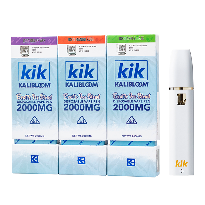 elfbar elfa master akku KiK E-Cigarettes main image 0