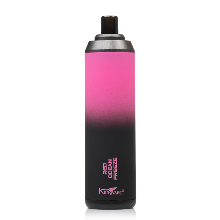 Kangvape Onee Stick 5500 Disposable