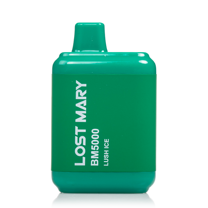 Lost Mary BM5000 Disposable