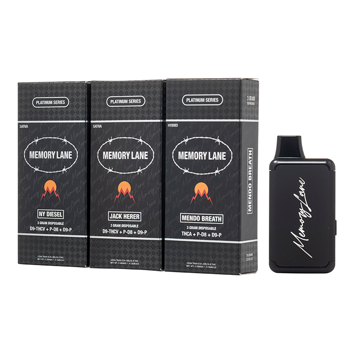 Memory Lane Platinum Disposable 3G $16.99