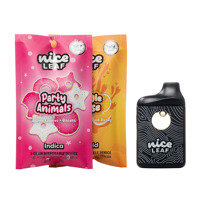 vape nice NICE 2000 WATERMELON ICE