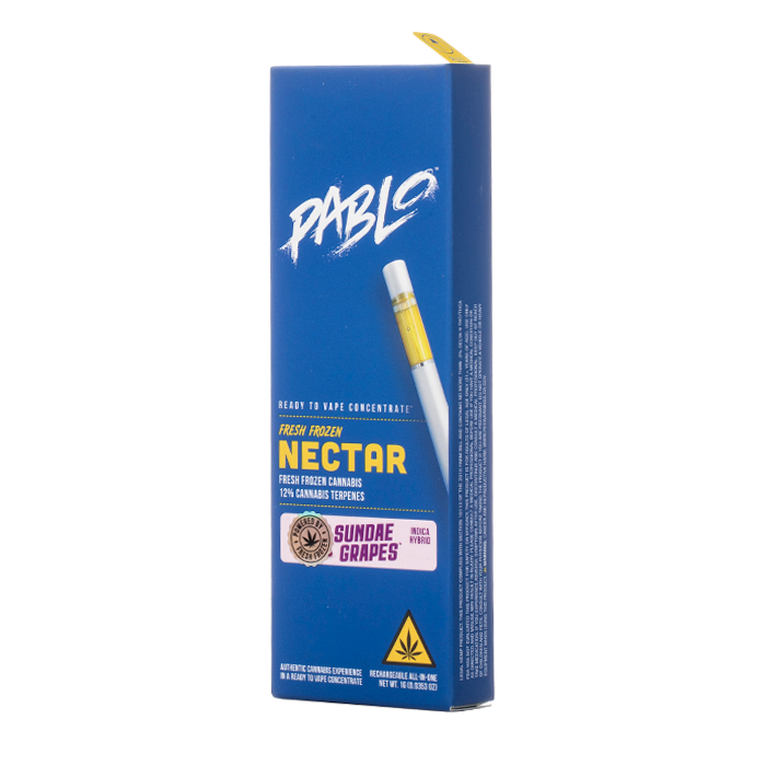 Pablo Delta 9 AIO Disposable 1G