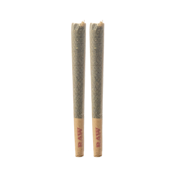 aganorsa tobacco Aganorsa Leaf, Rare Leaf Maduro- Robusto 5 1/4 x 52 – Paladin Cigars