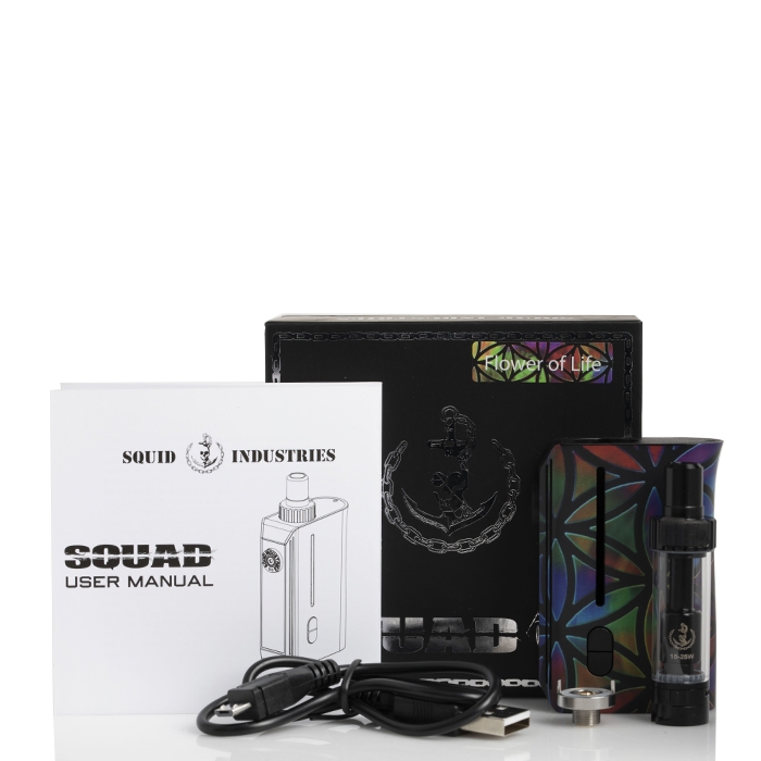 elfbar elfa master akku Vape Shop Wellington FL | E Vapor Squad main image 0