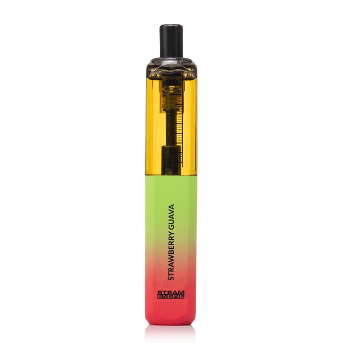 elfbar elfa master akku Steam Engine MEGA STICK Disposable Vape main image 1