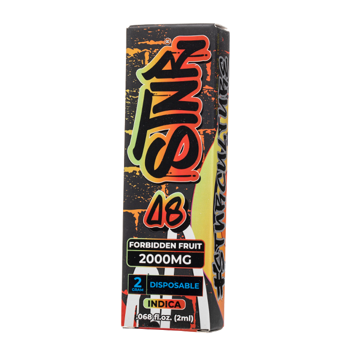 STNR Delta 8 Disposable 2G