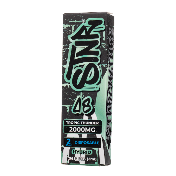 STNR Delta 8 Disposable 2G