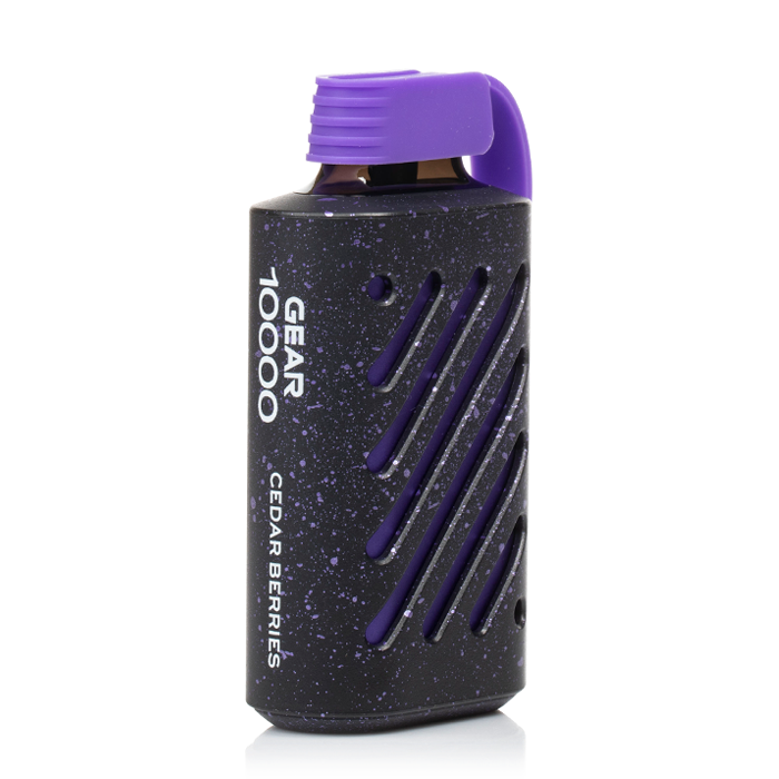 elfbar elfa kaufen Vozol Gear 10000 Disposable Vape