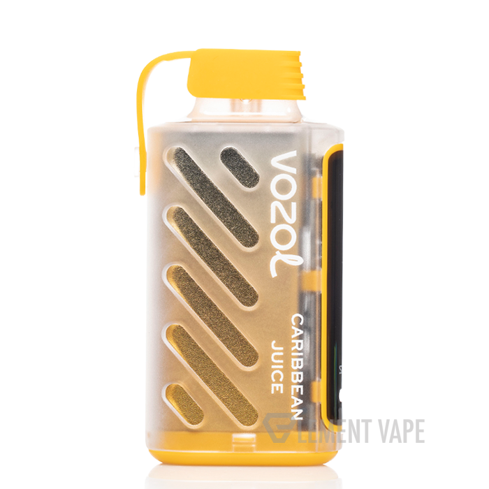 elfbar elfa kaufen Vozol Star 9000 Disposable Vape main image 0