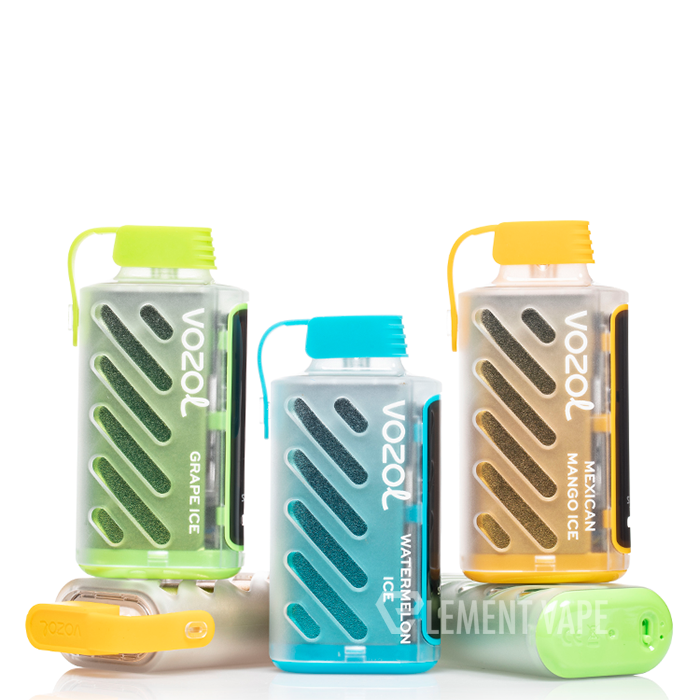 VOZOL Gear Power 20000 Disposable $19.99