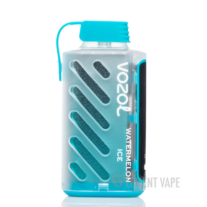 VOZOL Gear Power 20000 Disposable