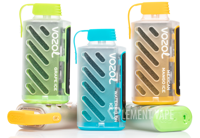 REVIEW: VOZOL Gear Power 20000 Disposable