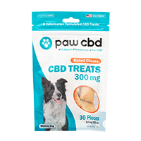 CBD for Pets