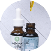 CBD for Dogs
