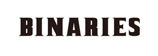 Hoizon Binaries Logo Hoizon Binaries Logo